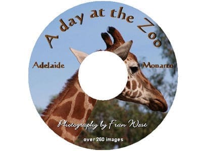 A Day at the Zoo DVD