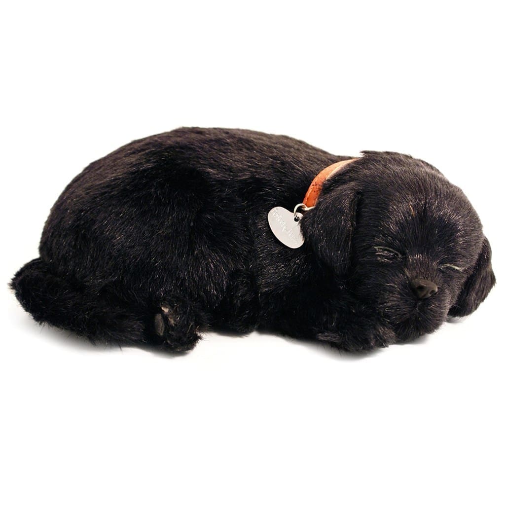 Sensory Pet - Black Labrador