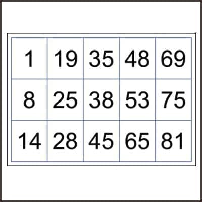 Large prrintable bingo cards