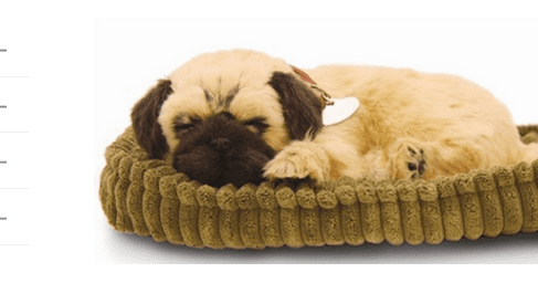 Sensory Pet - Pug Dog