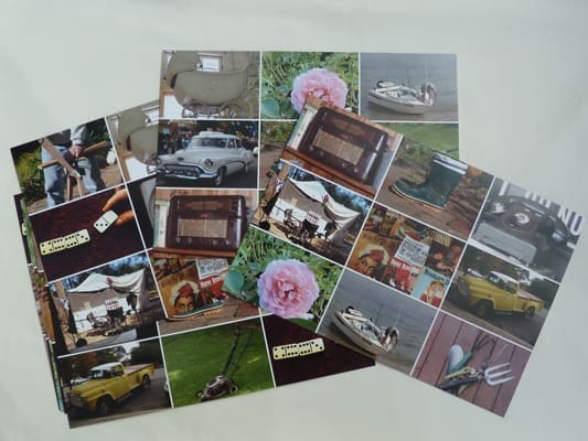 Picture Bingo Game Fruit and Vegetable ONLY