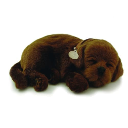 Sensory Pet - Chocolate Labrador