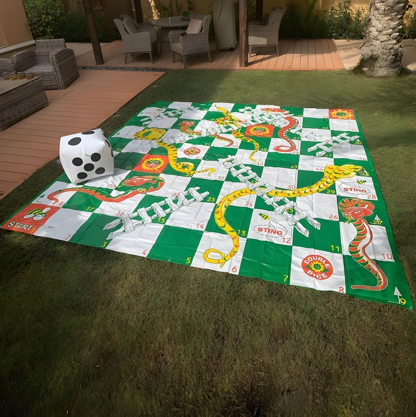 Giant snakes and ladders