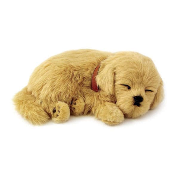 Sensory Pet - Golden Retriever