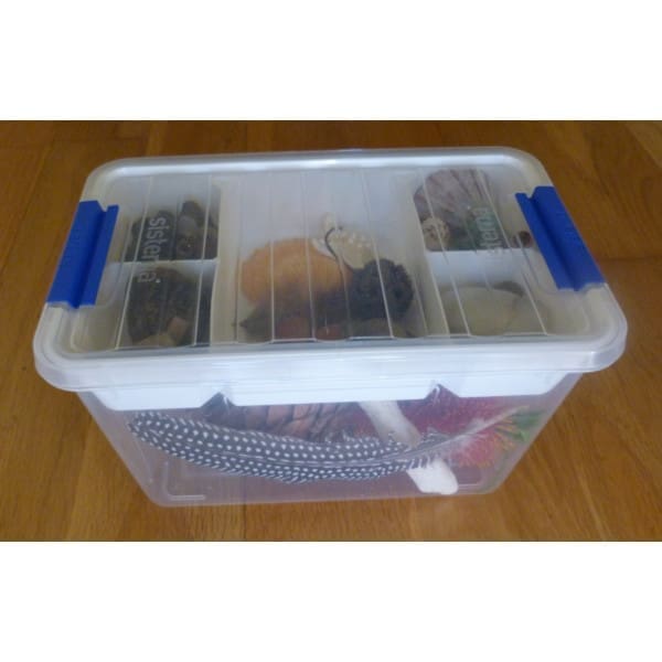 Can You Find it? Nature Box