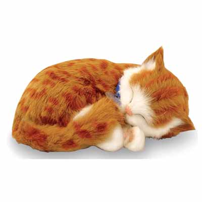 Sensory Pet - Orange Tabby