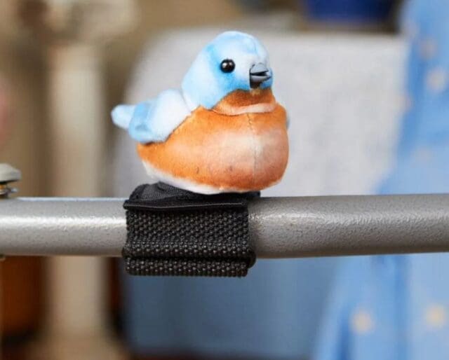 Walker Squawker Blue Bird