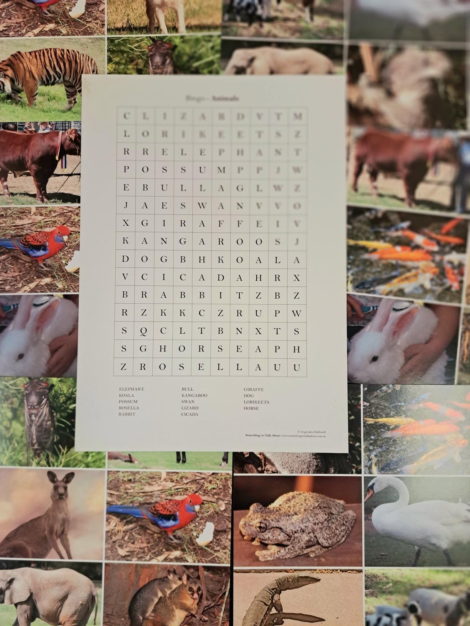 Picture Bingo Game Animals - Image 2