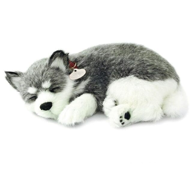 Sensory Pet Alaskan Husky