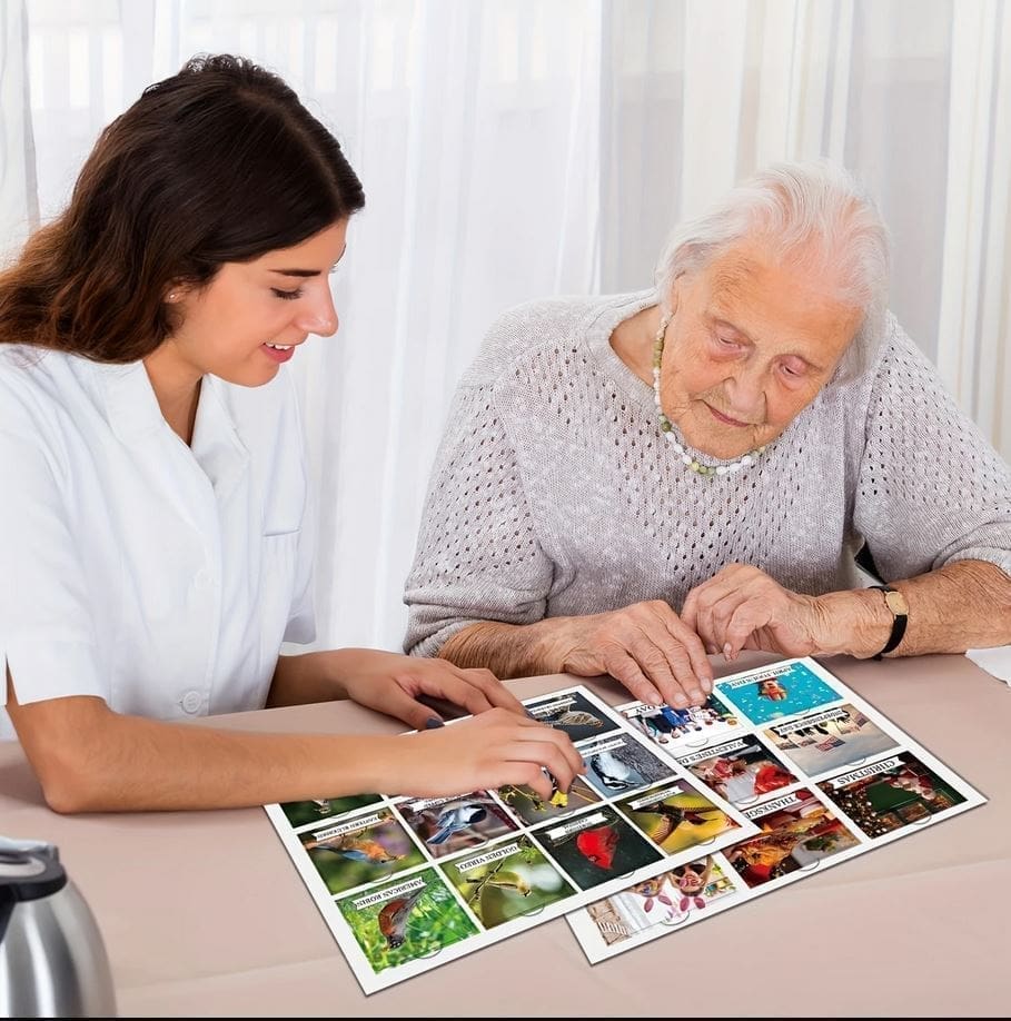 Memory Matching Picture Set