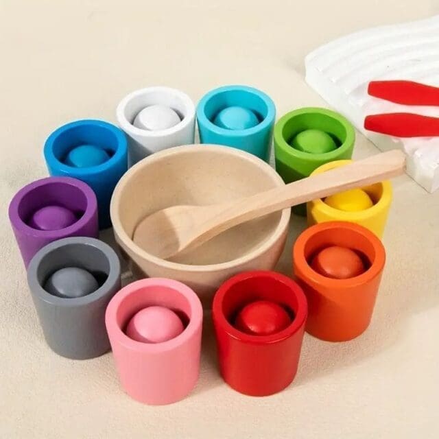 Memory Match Colour Sorting Set